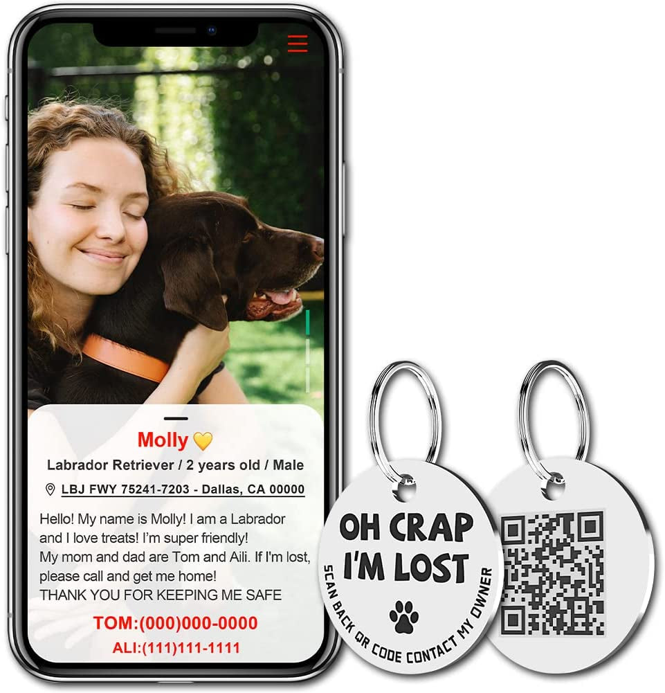 Stainless Steel QR Code Pet ID Tag - Instant Location Alerts, Free Online Pet Profile, Customizable Info, No Subscription Fees, 1.18 Inch (Grey)